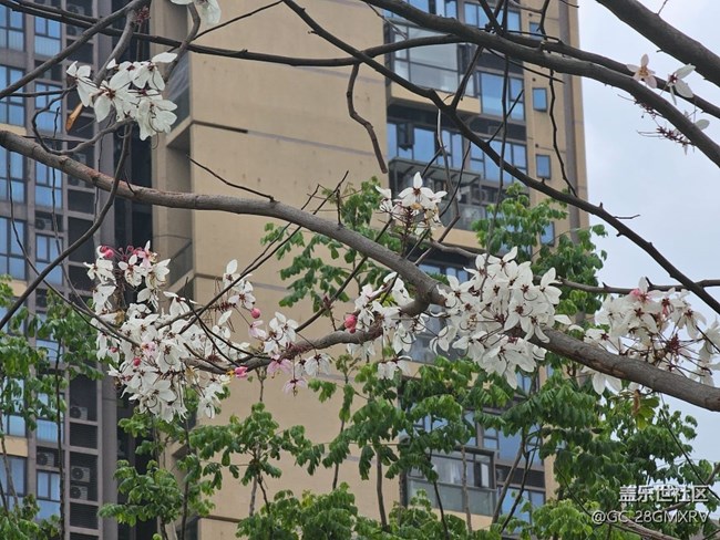 【行旅閱山河】走走看看