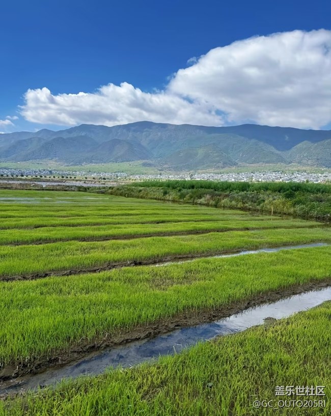 【行旅閱山河】田間地頭