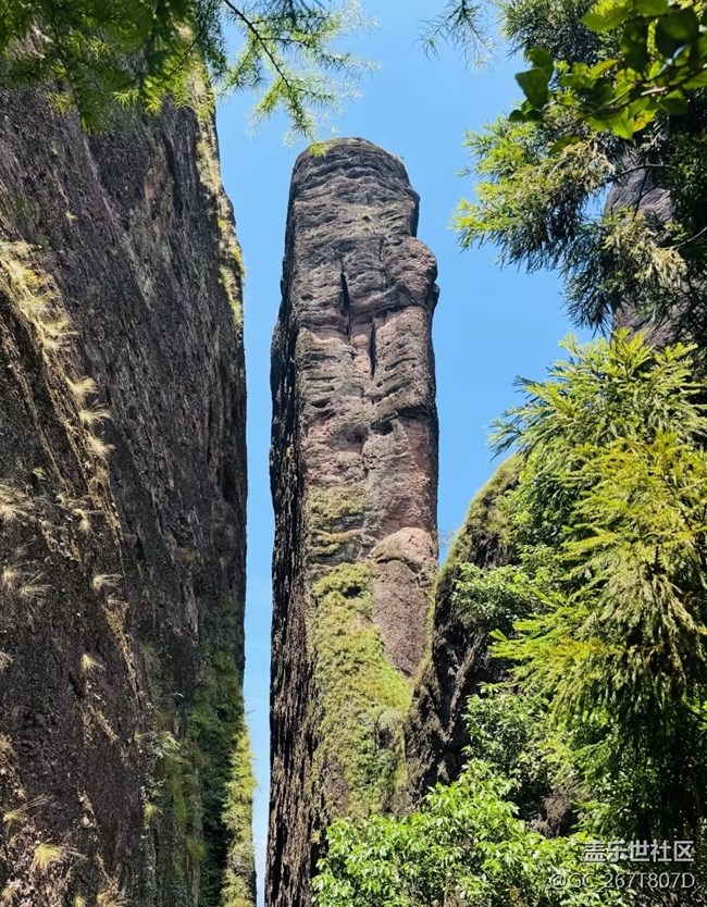 【行旅閱山河】江郎山