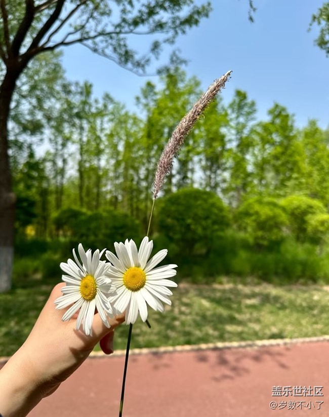 【行旅閱山河】體驗(yàn)自然