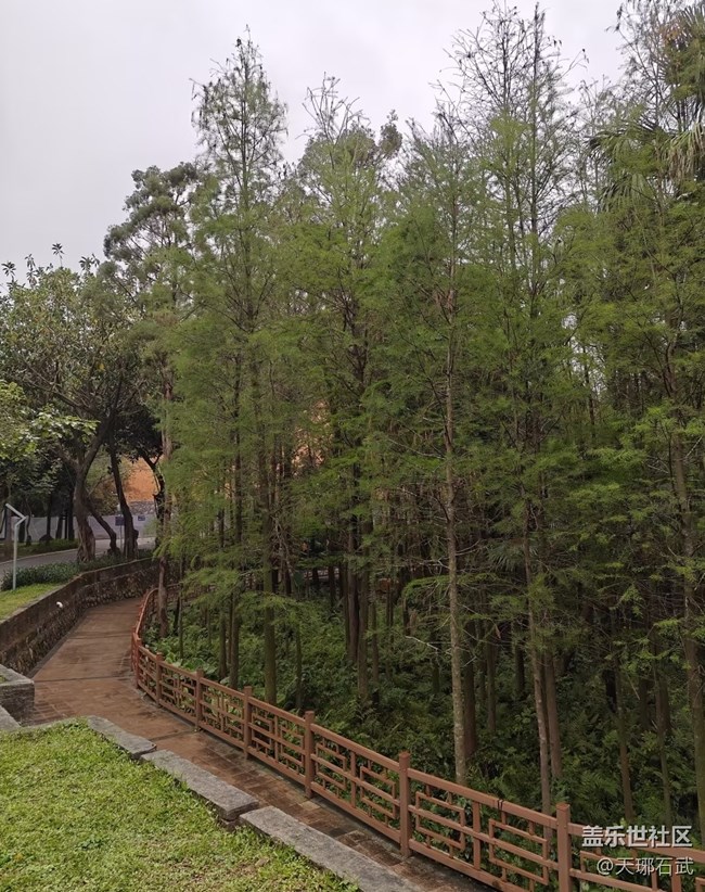 【行旅閱山河】雨后世界