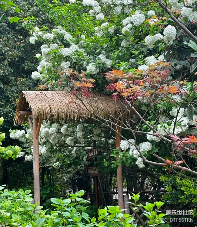 【行旅閱山河】四月之美