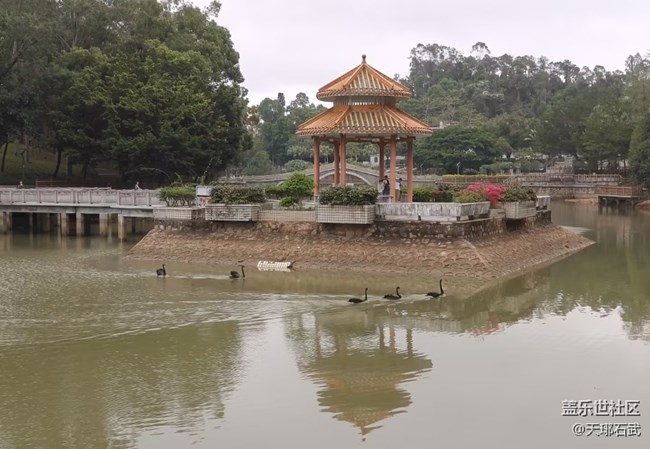 【行旅閱山河】雨后世界