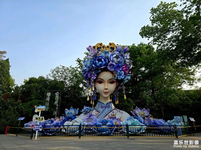 還記得大明湖的夏雨荷嗎