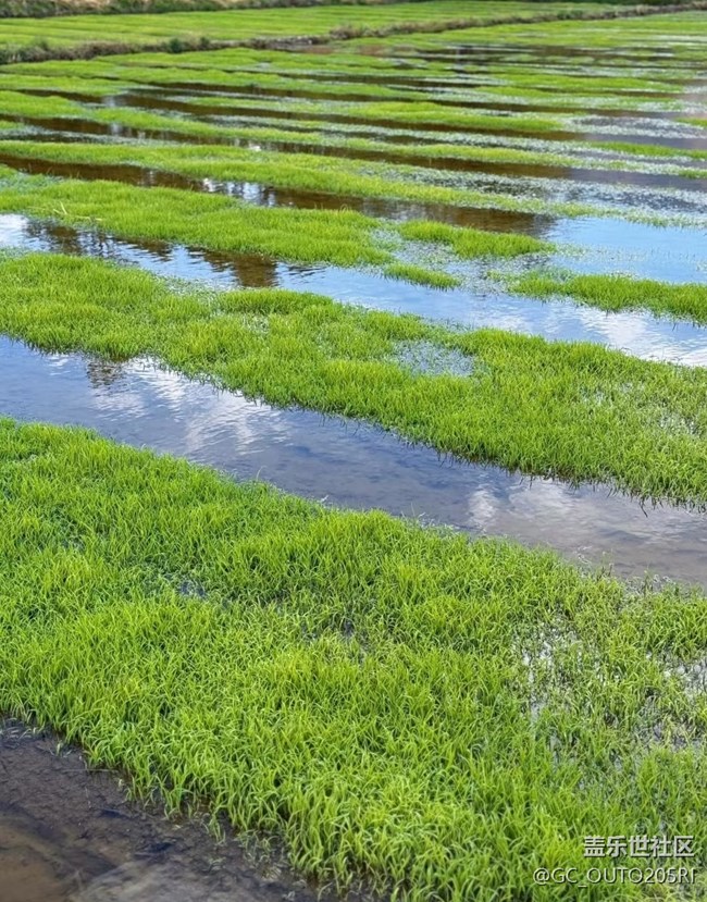 【行旅閱山河】田間地頭