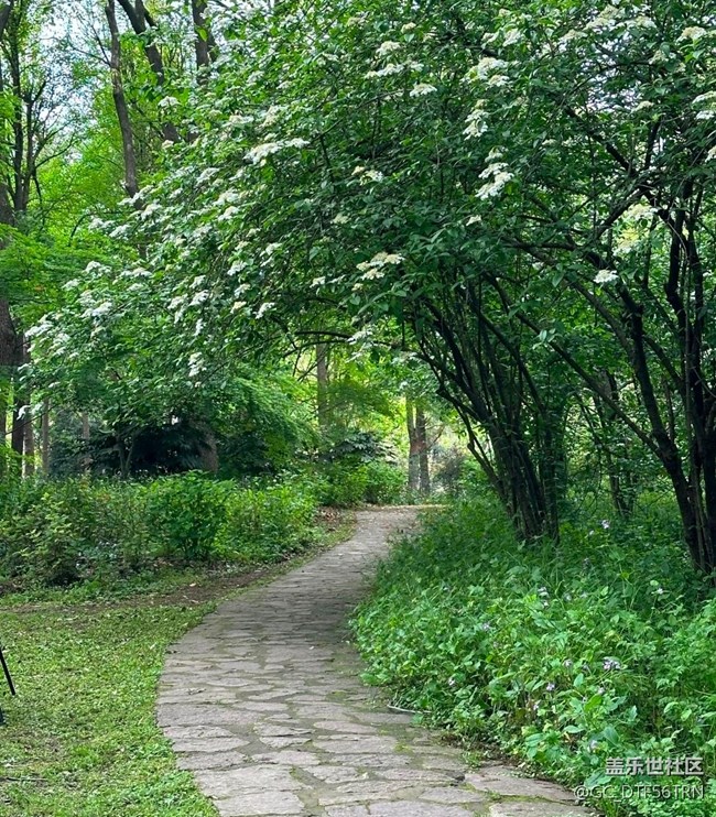 【行旅閱山河】四月之美