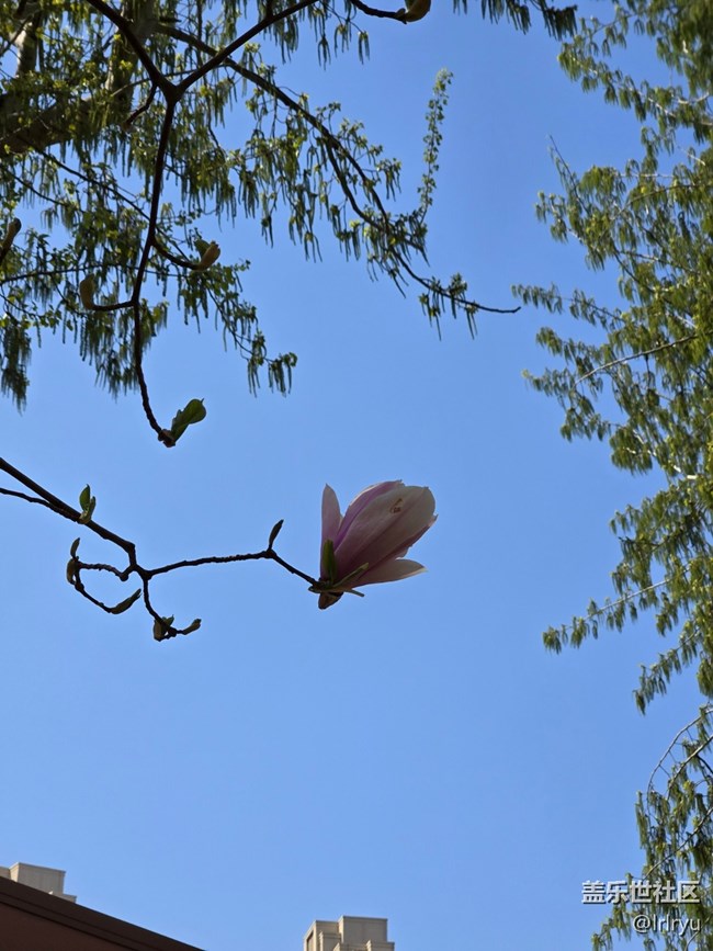 【用星踏青】晴好春景