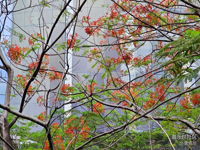 【行旅閱山河】陰雨