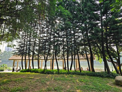 【城市映像】濕地公園