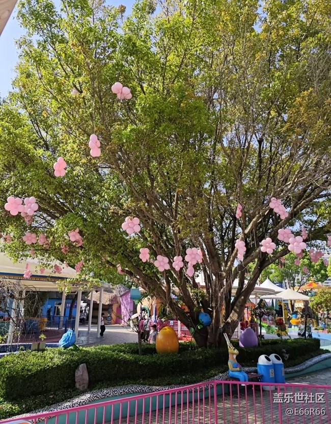 【五一風(fēng)光】游樂園
