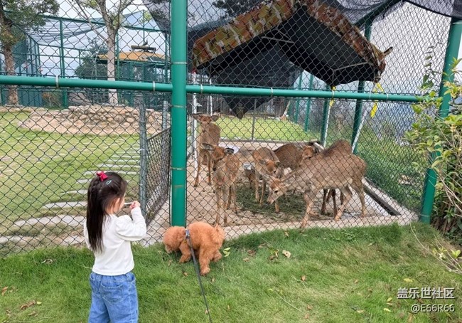 【五一趣拍分享】戶外樂園
