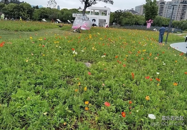 【五一風(fēng)光】逛公園