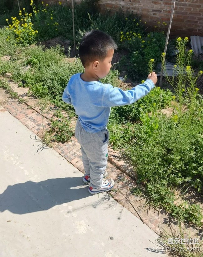 【五一趣拍分享】采花