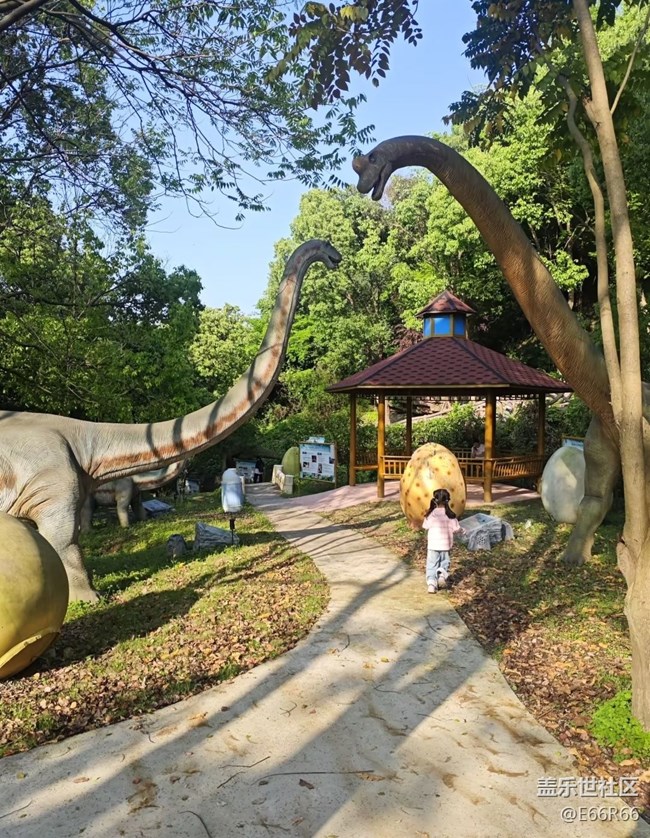 【五一風(fēng)光】游樂園