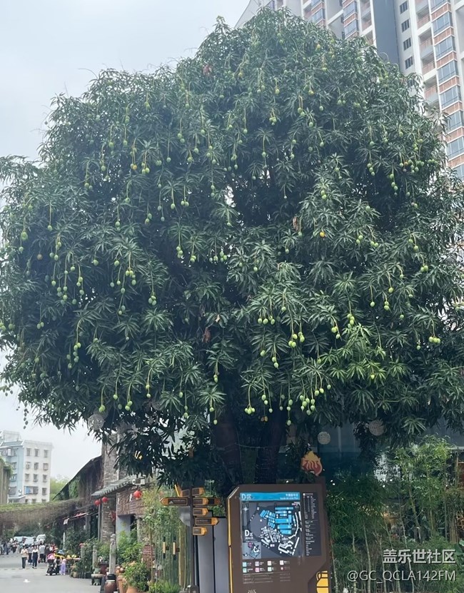 【五一趣拍分享】廣東游玩