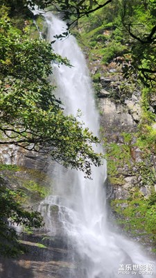 【小長(zhǎng)假美拍分享】+徒步挑戰(zhàn)瓦屋山高山杜鵑蘭溪絕壁棧道