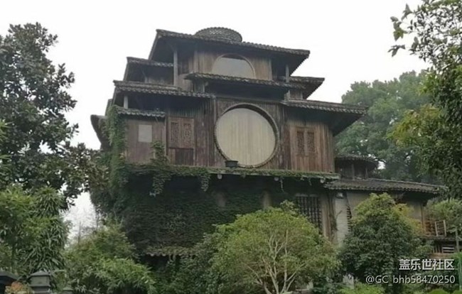 【五一風(fēng)光】茶園