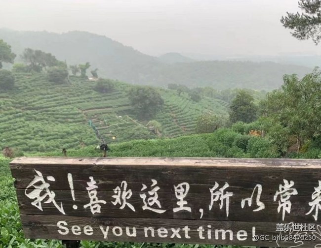 【五一風(fēng)光】茶園