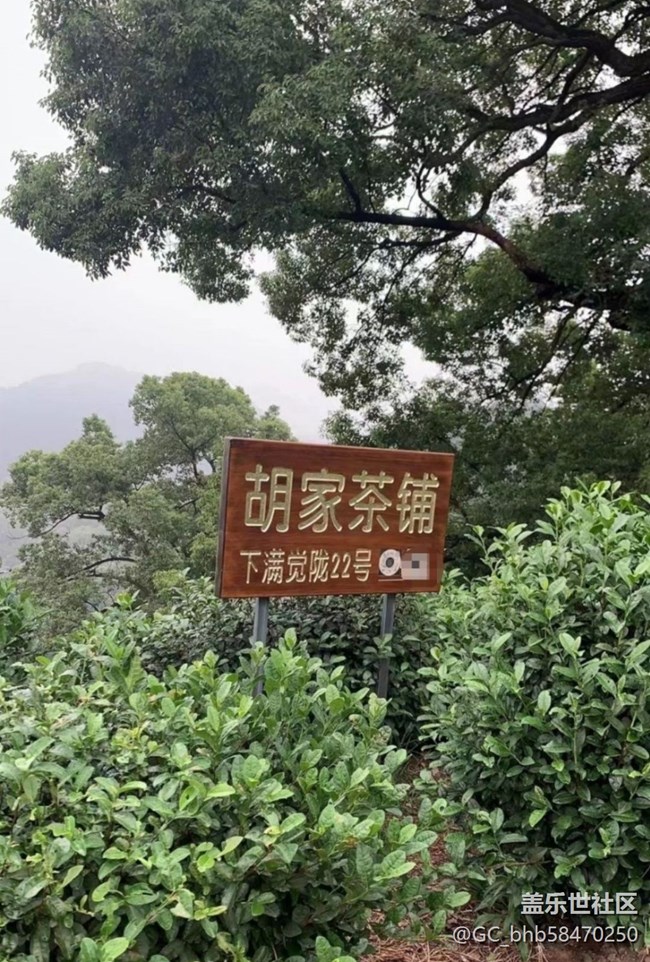 【五一風(fēng)光】茶園