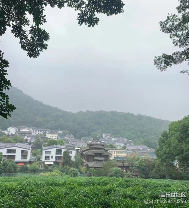 【五一風(fēng)光】茶園