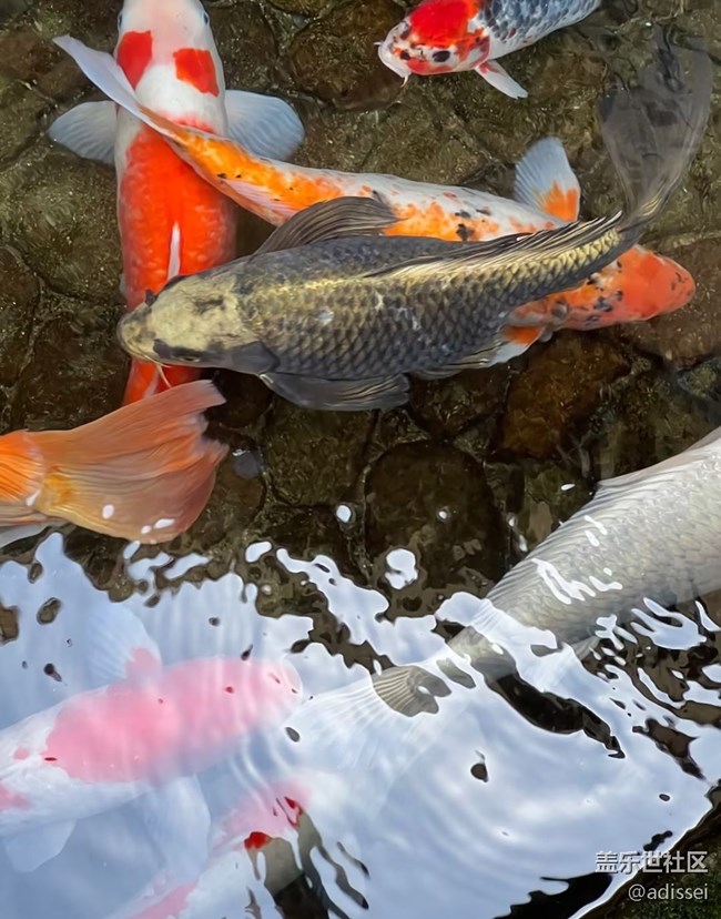 【五一風(fēng)光】紅色小鎮(zhèn)