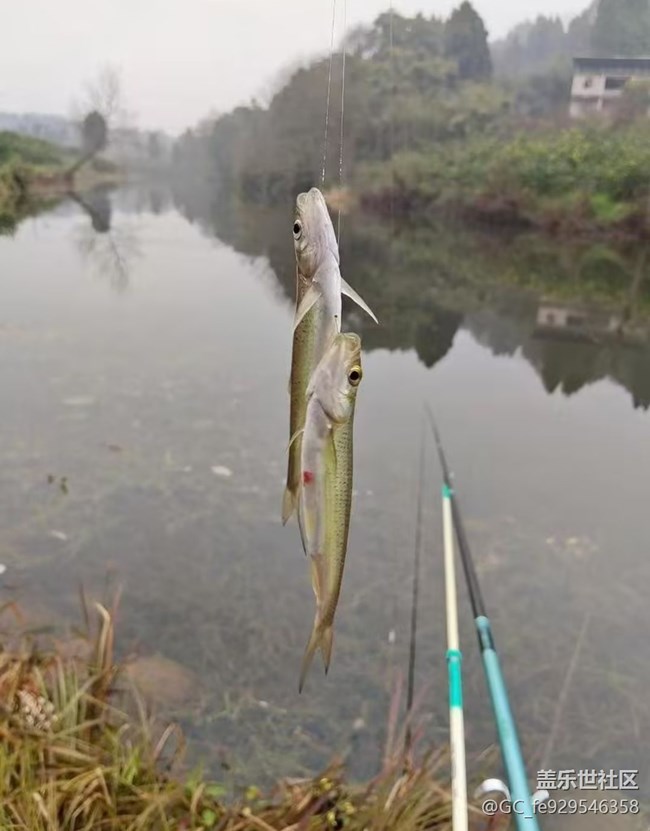 【五一趣拍分享】釣魚