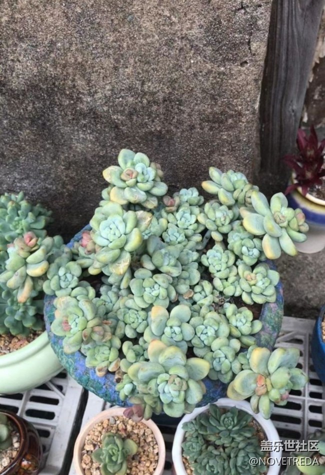 【五一趣拍分享】“美好”的一天
