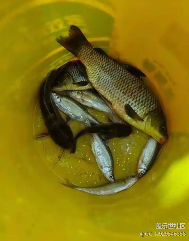 【五一趣拍分享】釣魚