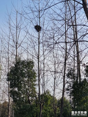 蝸居