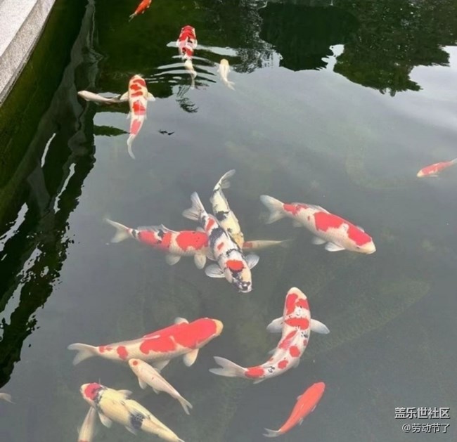【五一趣拍分享】寶藏