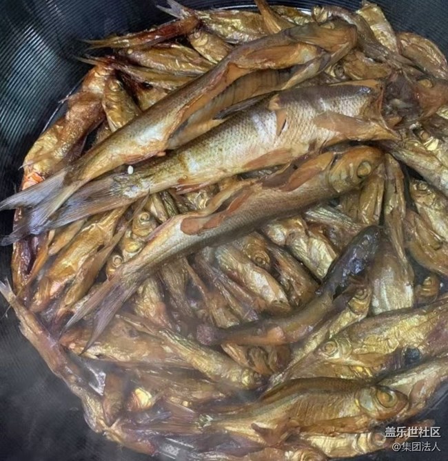 【五一食光】釣魚吃