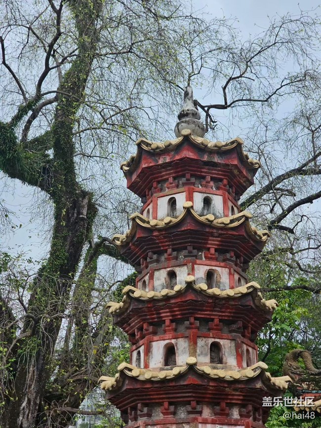 【五一風(fēng)光】光孝寺