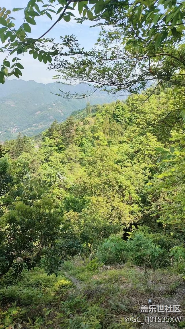 【五一風(fēng)光】回鄉(xiāng)