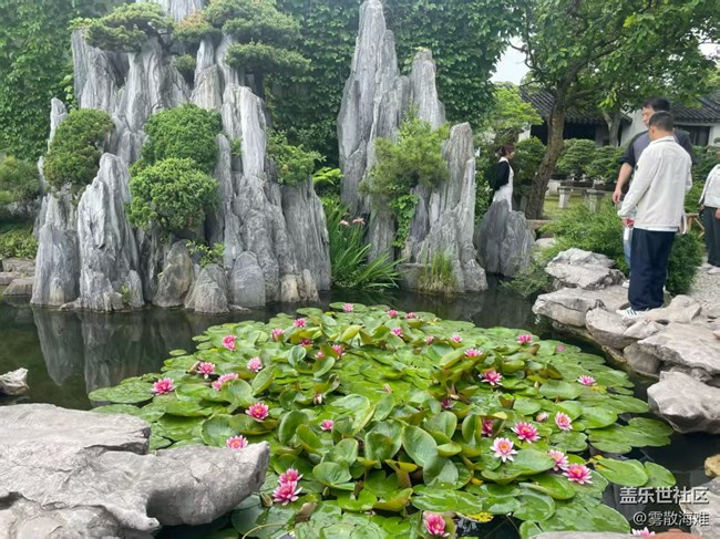 【五一趣拍分享】留園