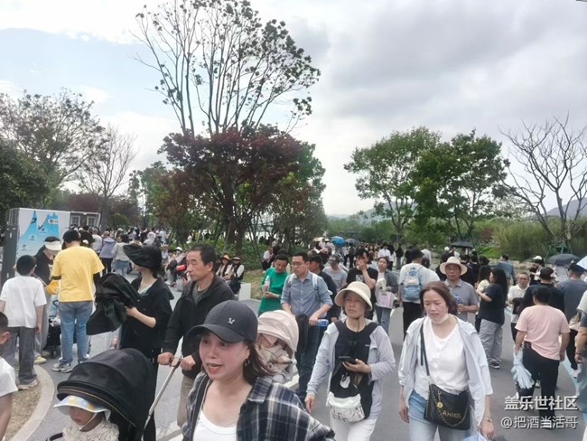 【折疊屏手機陪伴的五一】數(shù)人頭