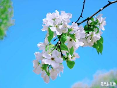 四月隨手拍