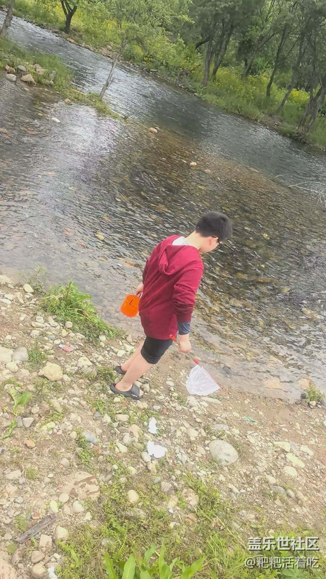 【折疊屏手機(jī)陪伴的五一】撈魚(yú)