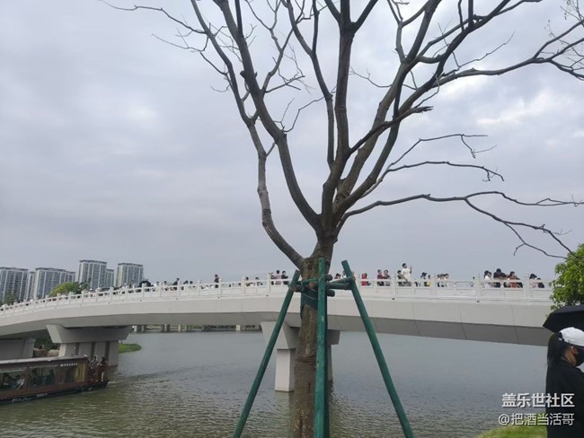 【折疊屏手機陪伴的五一】數(shù)人頭