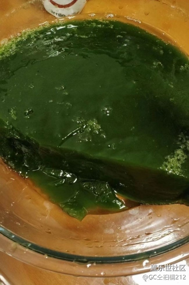 【五一食光】綠豆腐
