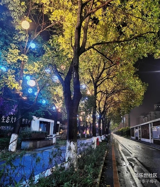 【五一趣拍分享】雨夜