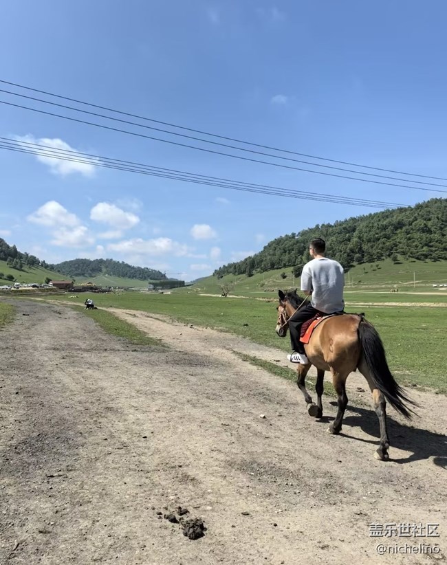 【五一風(fēng)光】牛馬看牛馬