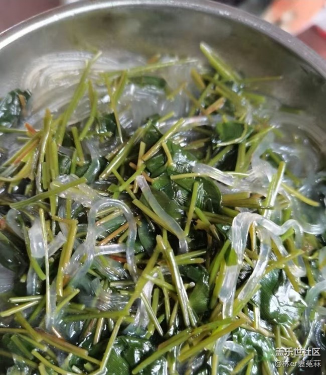 【五一食光】野菜