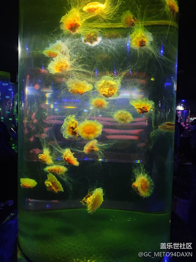 【五一趣拍分享】水族館