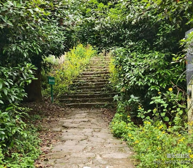 【五一趣拍分享】森林古道