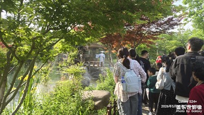 五一來(lái)拈花灣賞景