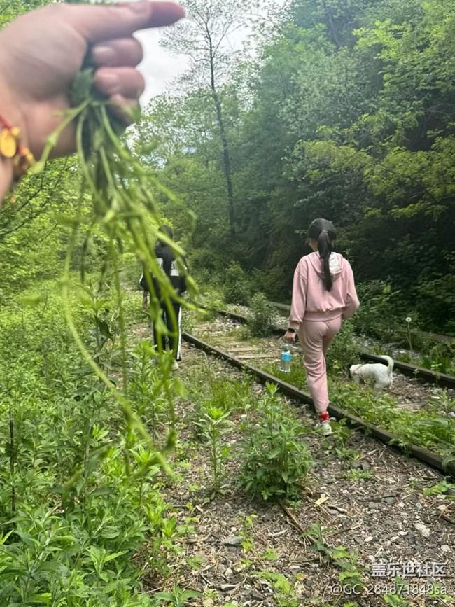 【五一趣拍分享】出去玩