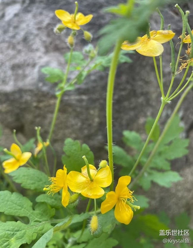 【五一風(fēng)光】回歸田園