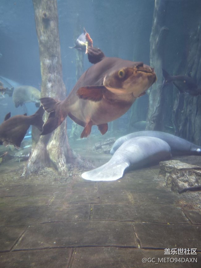 【五一趣拍分享】水族館
