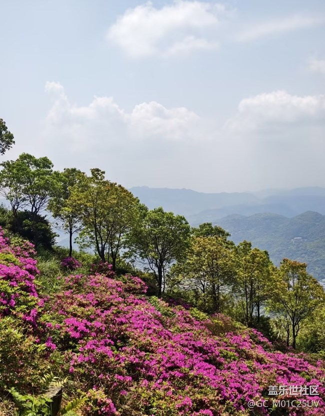 【五一風光】賞花