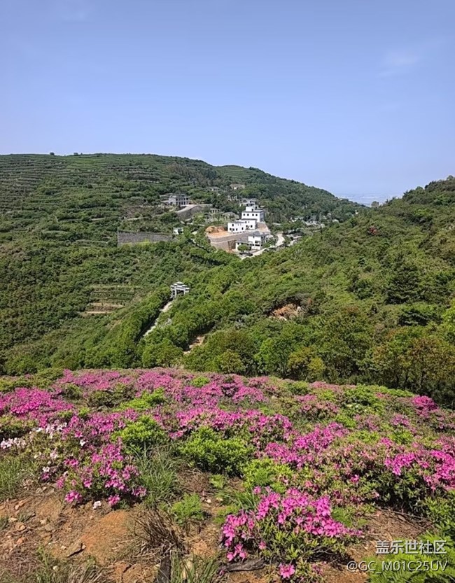 【五一風光】賞花
